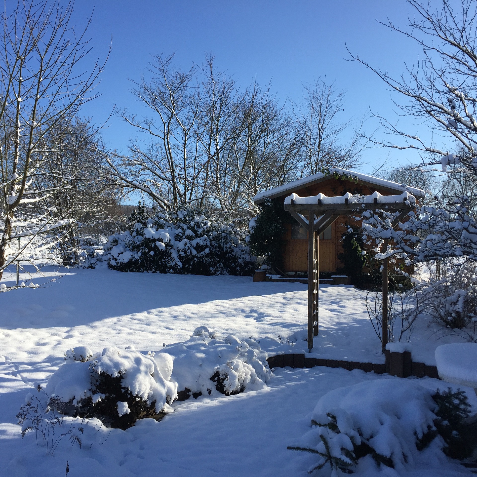 abri-de-jardin-hiver