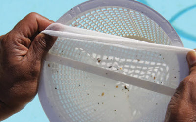 Chaussette skimmer : utiliser un préfiltre pour skimmer et le préserver