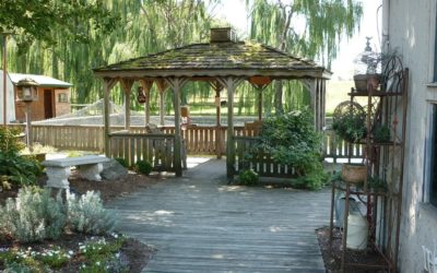 Une pergola dans le Nord Pas-de-Calais quand le thermomètre remonte