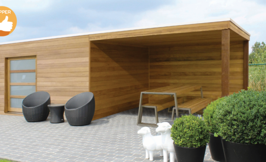 Abri de jardin MODERNE en bois